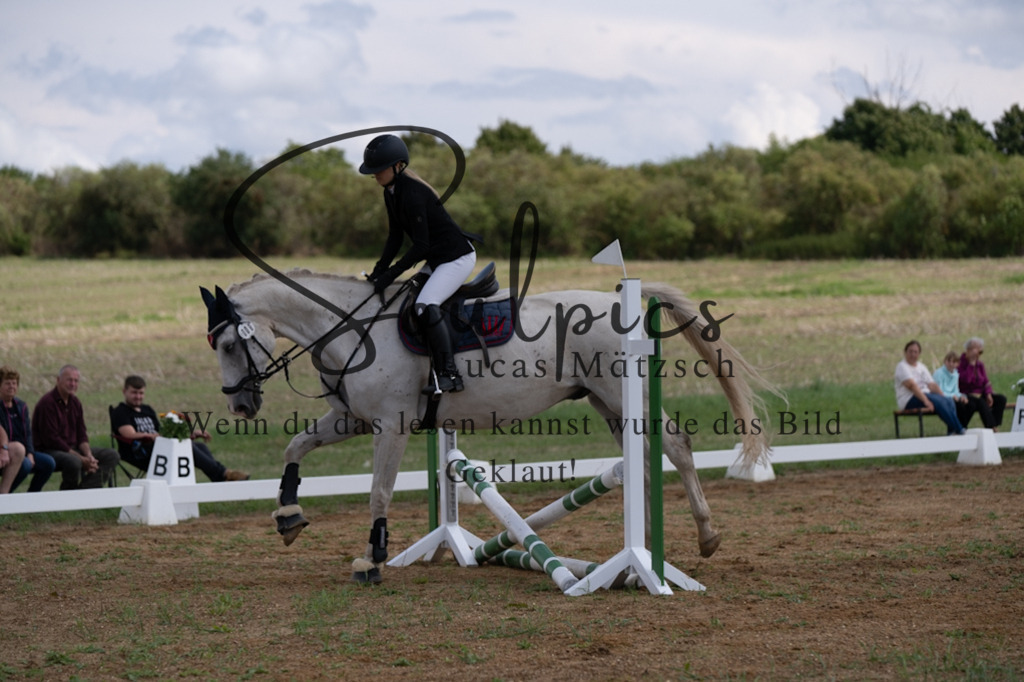 A7V03125 | Pferdefotograf