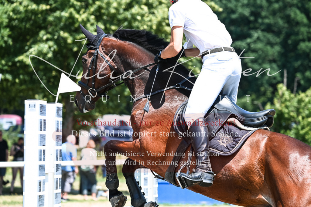 DSC_0368 | Pferde- und Turnierfotografie in Westsachsen. Pferdeportraits, Auftragszeichnungen und intuitive Kunst.