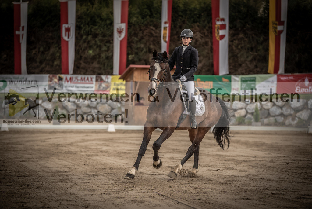 DSC_8337 | equestrian-live-com