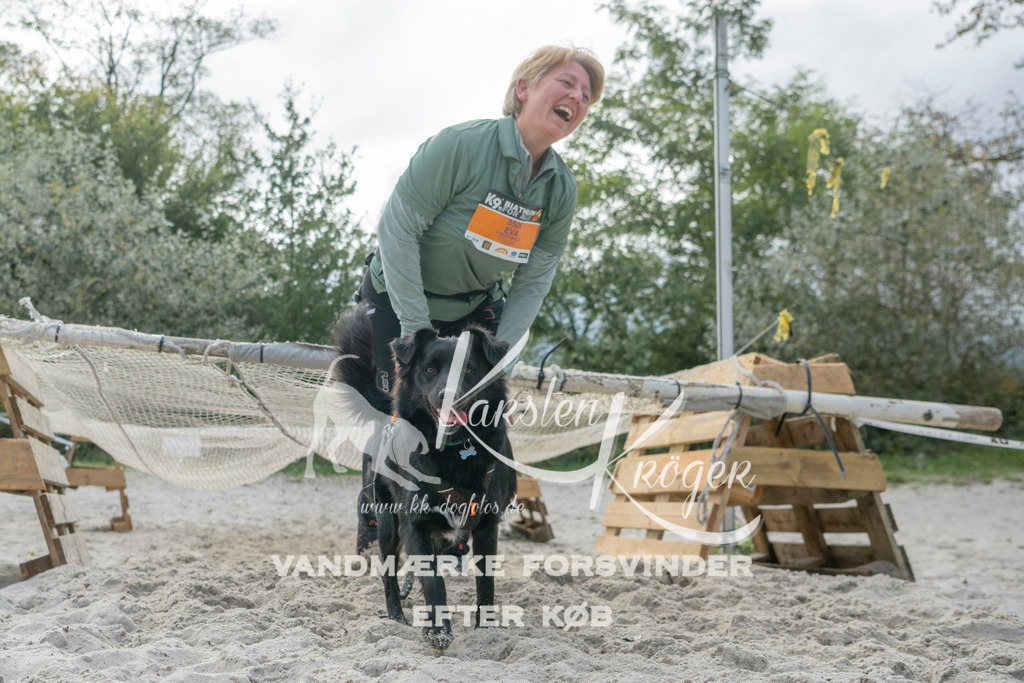 1137_ZZ98609 | kk-dogfotos