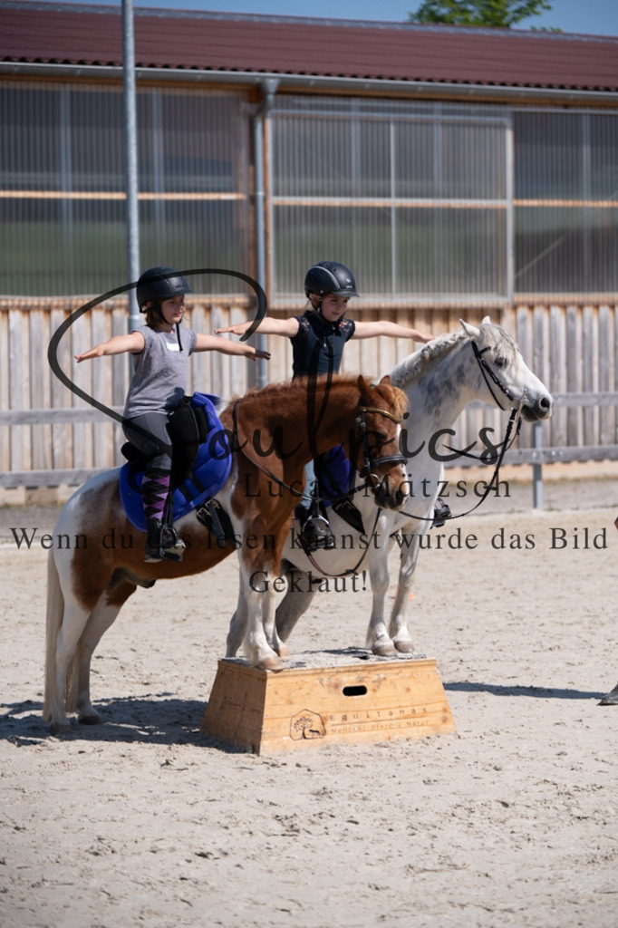 A7V01801 | Pferdefotograf