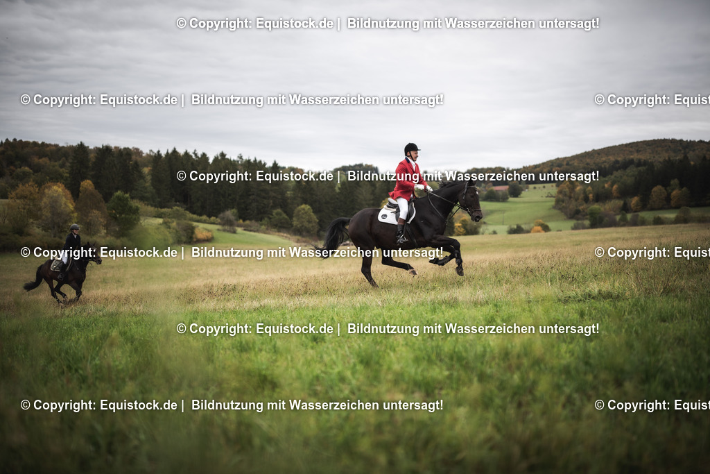 20241013_Jagd-Marbach_0297 | Foto: Thomas Hartig