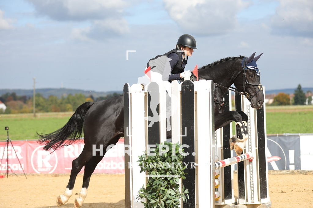 0P6A8568 | Willkommen bei Brunnmayr - Design & Fotografie – Ihrem Spezialisten für Reitturniere und Pferdeveranstaltungen in Oberösterreich, Salzburg und Bayern! Seit über 17 Jahren sind wir leidenschaftlich dabei.
