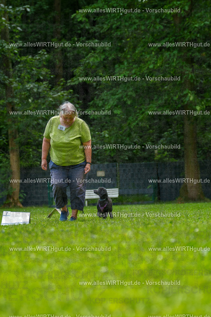 @allesWIRTHgut_Tierfotografie - www.allesWIRTHgut.de - 7R501028 | Professionelle Tierfotografie in Mönchengladbach von Daniel Wirth (allesWIRTHgut). Liebevolle & natürliche Bilder von Hunden & Katzen für unvergessliche Erinnerungen.