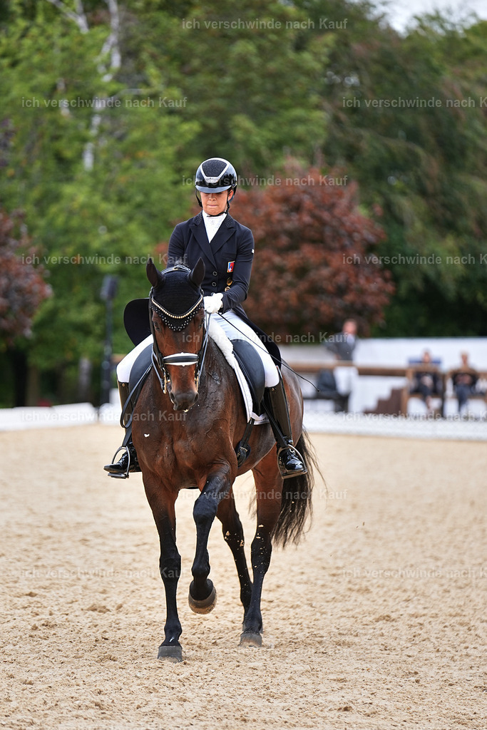 11-110-Dressur S___-Marixx-1542 | working equitationturnier fotograf videograf stoibphotography marixx film working equitation deutschland reitsport turnierfotografie eventfotografie equestrian events