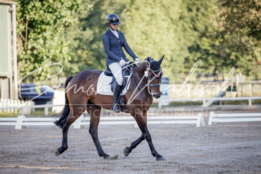 20250906-_3LI2709 | Tierfotografie Pferde, Hunde, Katzen, Haustiere.
Turnierfotografie Reitturniere, Reiten, Springreiten, Dressur in Hanau, dem Main-Kinzig-Kreis und dem Rhein-Main- Gebiet um Frankfurt