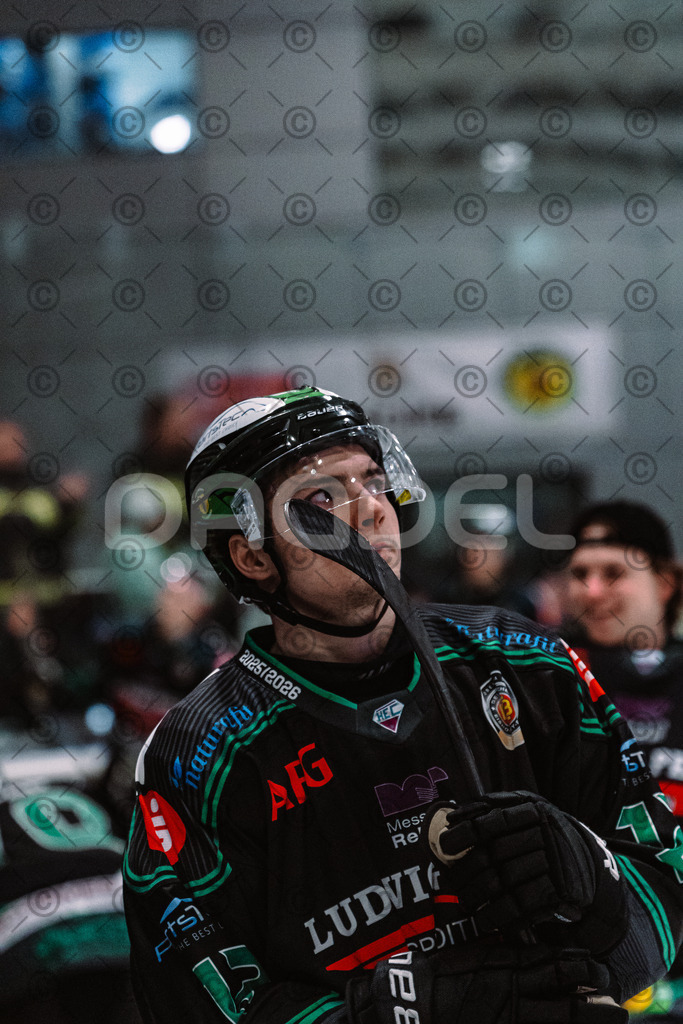 Alligators_vs_Toelz_15_02_2026-55 | Höchstadt Alligators Fotogalerie: Eishockey-Action aus Franken. Professionelle Spielfotos, Portraits & Stadionbilder zum Download. Jetzt entdecken! - Realisiert mit Pictrs.com
