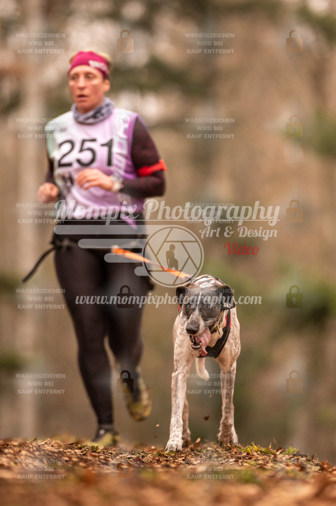 AKM_ST_2023_SAM_Run-129 | PayLife