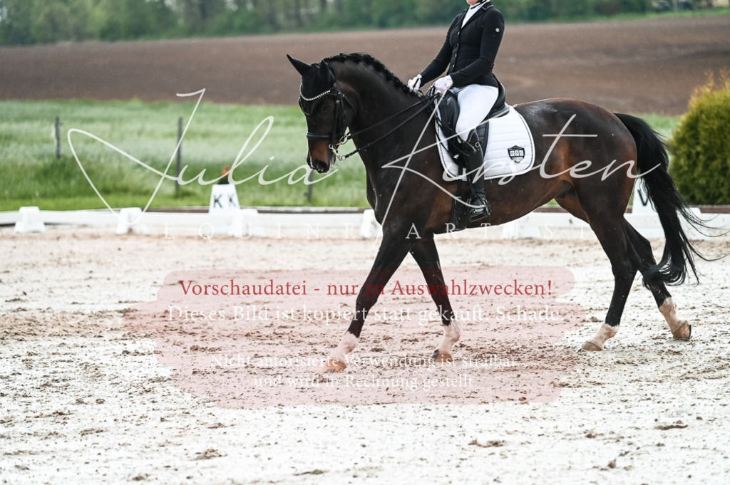 DSC_4358 | Pferde- und Turnierfotografie in Westsachsen. Pferdeportraits, Auftragszeichnungen und intuitive Kunst.