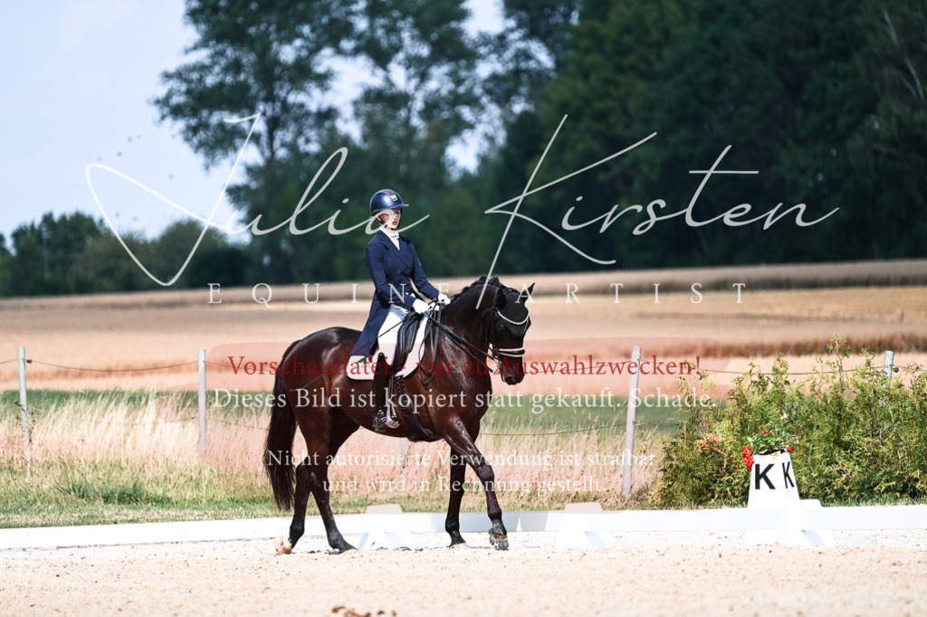 DSC_3139 | Pferde- und Turnierfotografie in Westsachsen. Pferdeportraits, Auftragszeichnungen und intuitive Kunst.