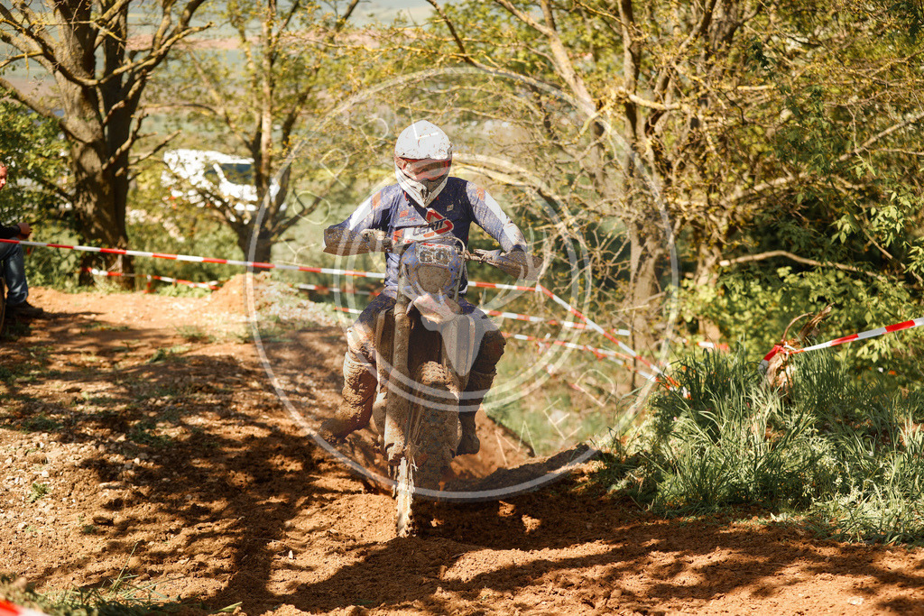 RottlebenIGE25_Lauf2-765 | koppe-media