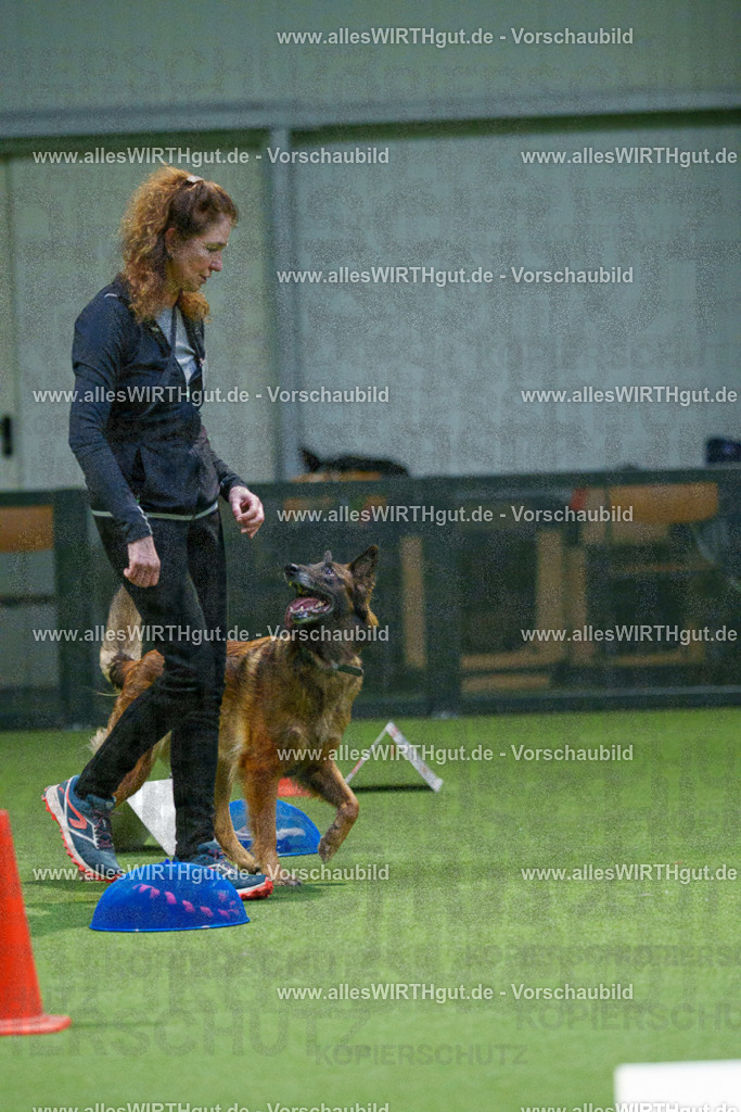 7R505639 | Professionelle Tierfotografie in Mönchengladbach von Daniel Wirth (allesWIRTHgut). Liebevolle & natürliche Bilder von Hunden & Katzen für unvergessliche Erinnerungen.