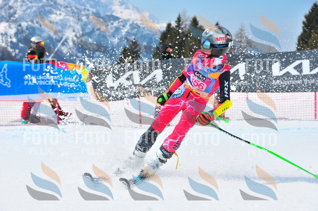 DSC_7005 | holidayphoto