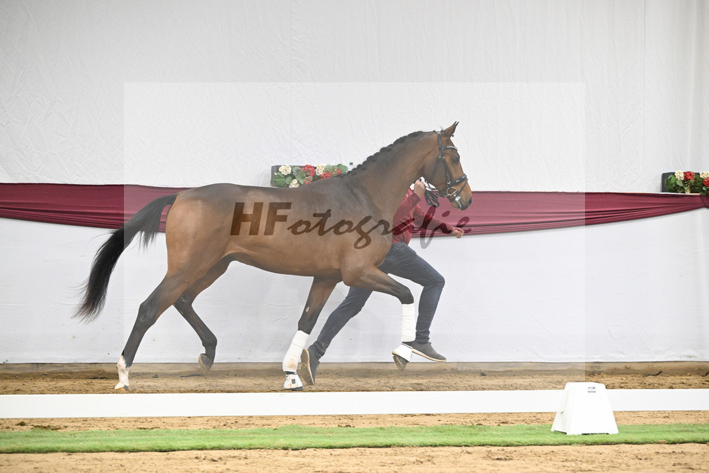 Kat-Nr. 43 Va Pensiero x Secret_Philipp Stuppert_47251508 | hf-fotografie - Realisiert mit Pictrs.com