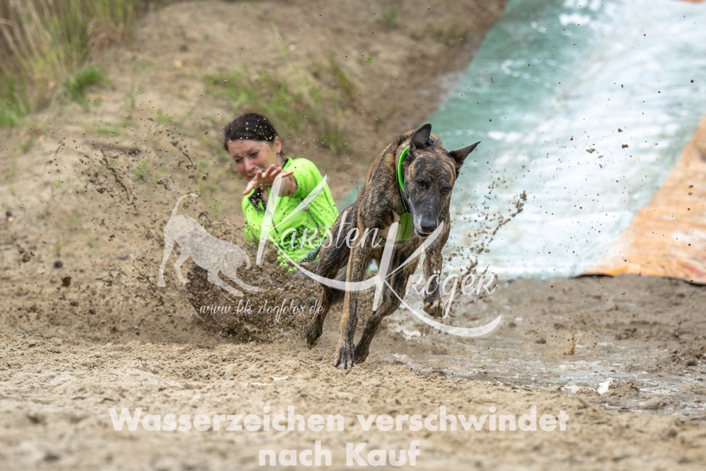 0954_ZZ91757-Verbessert-RR | kk-dogfotos