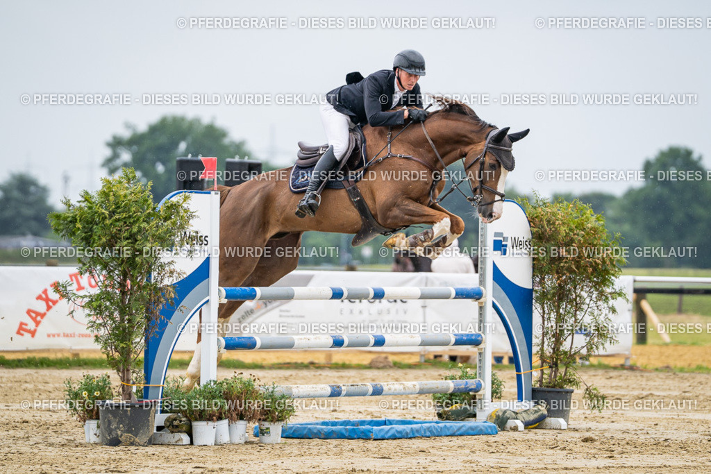 DSC02777 | Pferdegrafie