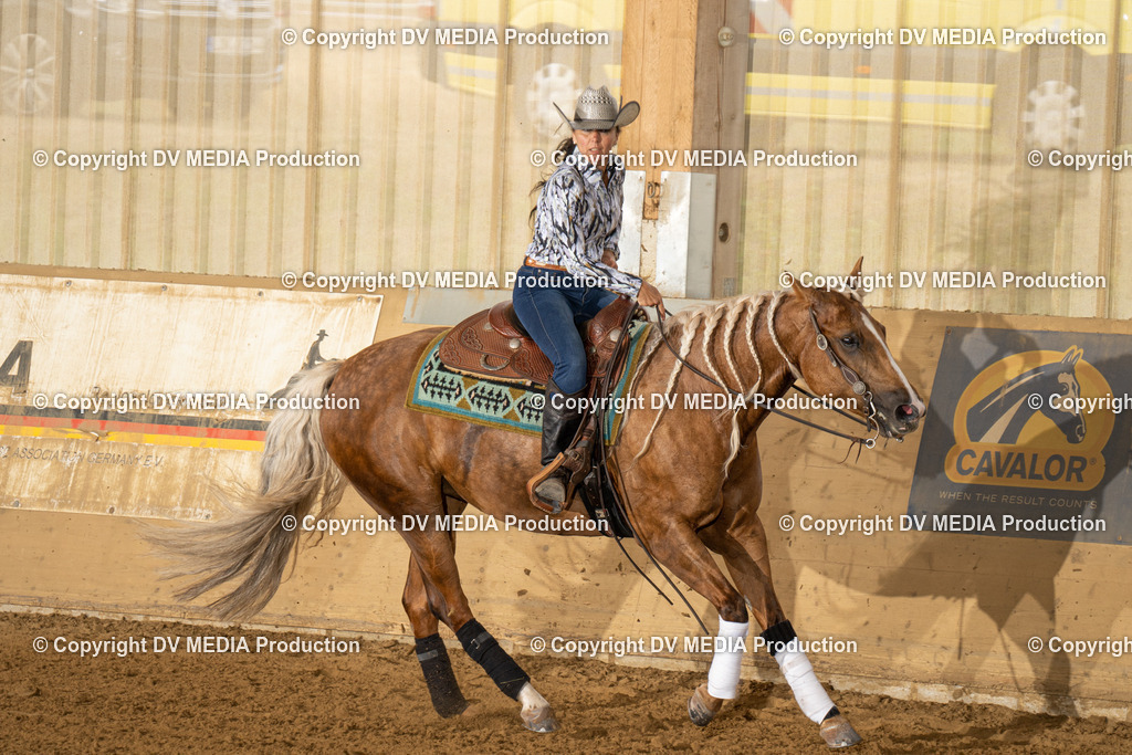 LAU01534 | dv-media-shop - Realisiert mit Pictrs.com