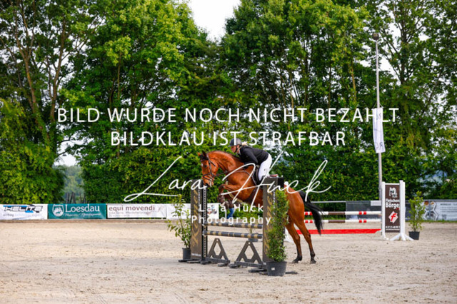 _62_3359 | larahueckfotografie