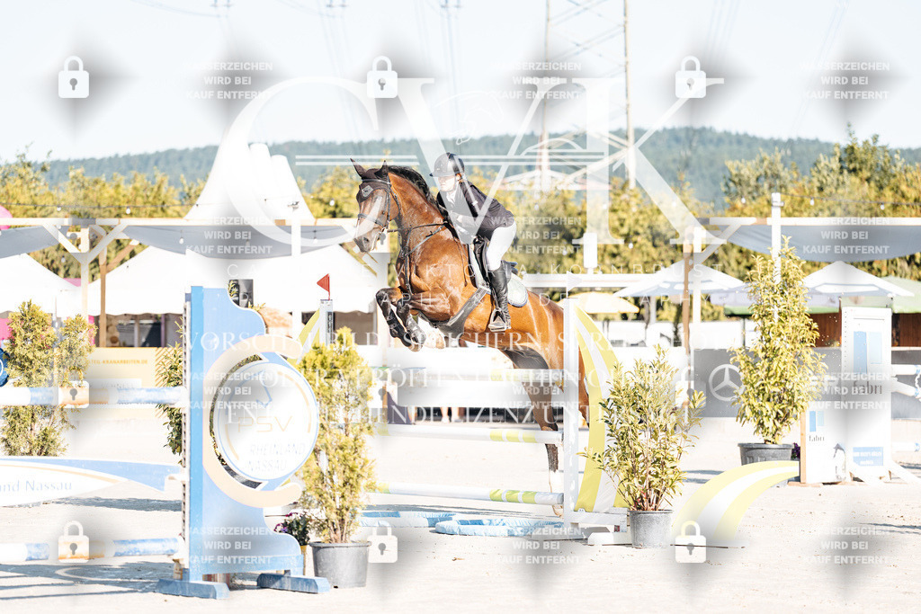 CK904135 | Turnierfotografie Pferdefotografie Trier Rheinland-Pfalz Pferdesport Reitsport Tierfotografie Sportfotografie Pferdevideo Pferdevideografie Equestrianvideography equestrianphotography  - Realisiert mit Pictrs.com