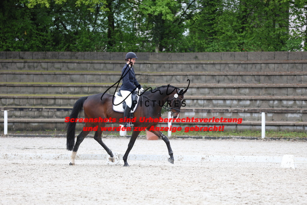 A40A9125 | lmwpictures - Realisiert mit Pictrs.com