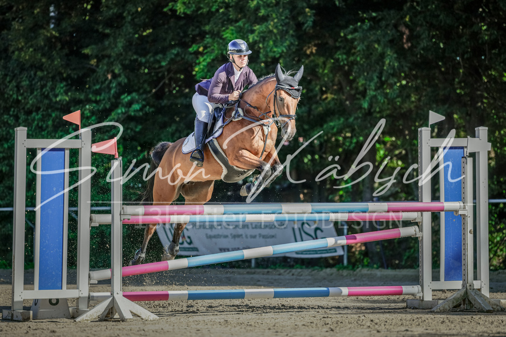 20250906-_3LI3377 | Tierfotografie Pferde, Hunde, Katzen, Haustiere.
Turnierfotografie Reitturniere, Reiten, Springreiten, Dressur in Hanau, dem Main-Kinzig-Kreis und dem Rhein-Main- Gebiet um Frankfurt
