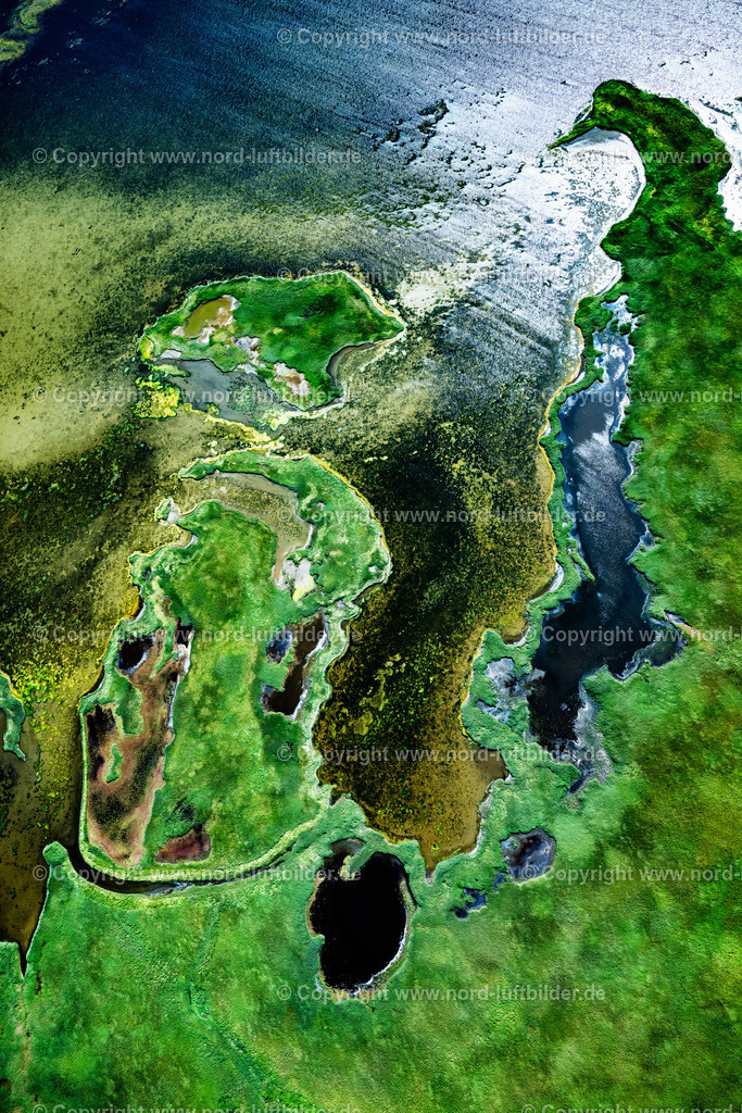 Sylt_Rantum_Rantumbecken_Salzwiesen_ELS_97923130825 | SYLT 13.08.2025 Grasflächen- Strukturen einer Feld- und Wiesen- Landschaft " Rantumbecken " in Sylt Nordsee - Insel im Bundesland Schleswig-Holstein, Deutschland. // Grass area structures of a salt marsh landscape " Rantumbecken " in Sylt North Sea Island in the state Schleswig-Holstein, Germany. Foto: Martin Elsen