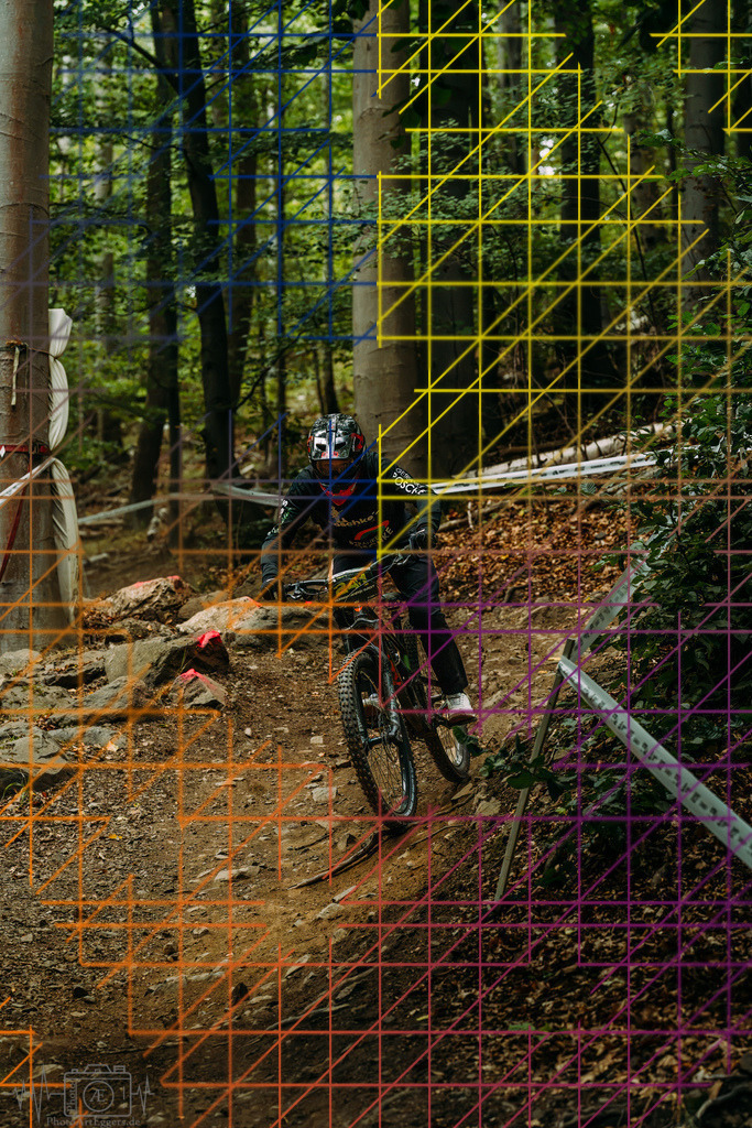 PAE-2072 | Einzigartige Fotokunst für dein Zuhause: Entdecke hochwertige Wandbilder, edle Prints und emotionale Motive von Wildlife, Natur und Landschaften - Realisiert mit Pictrs.com