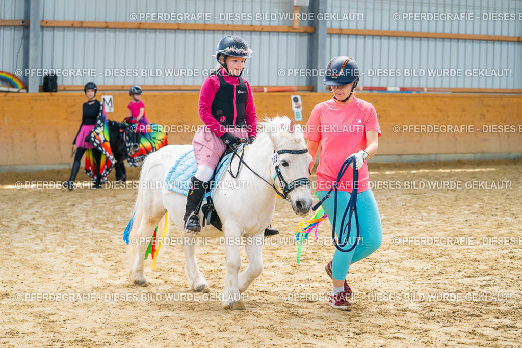 DSC00703 | Pferdegrafie