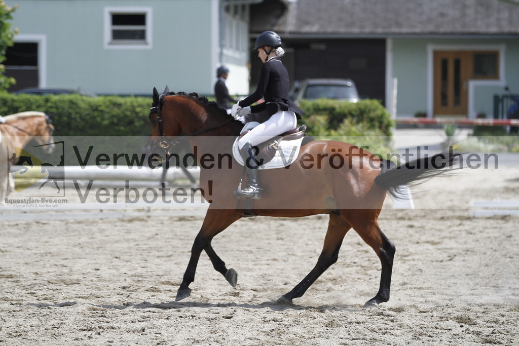 _MG_8479 | equestrian-live-com