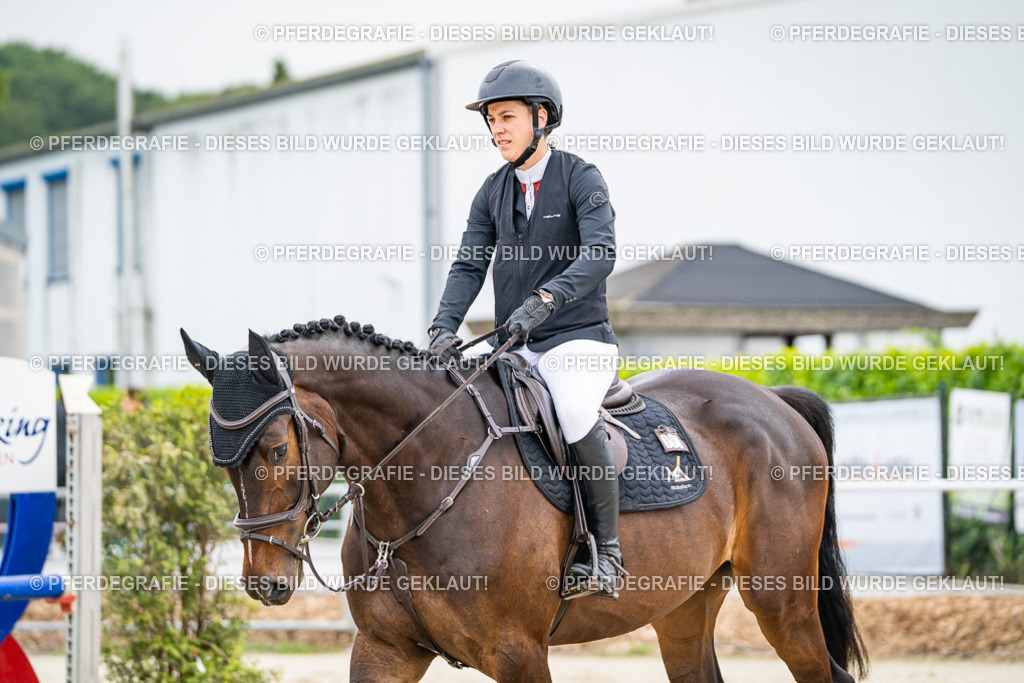 DSC09767 | Pferdegrafie