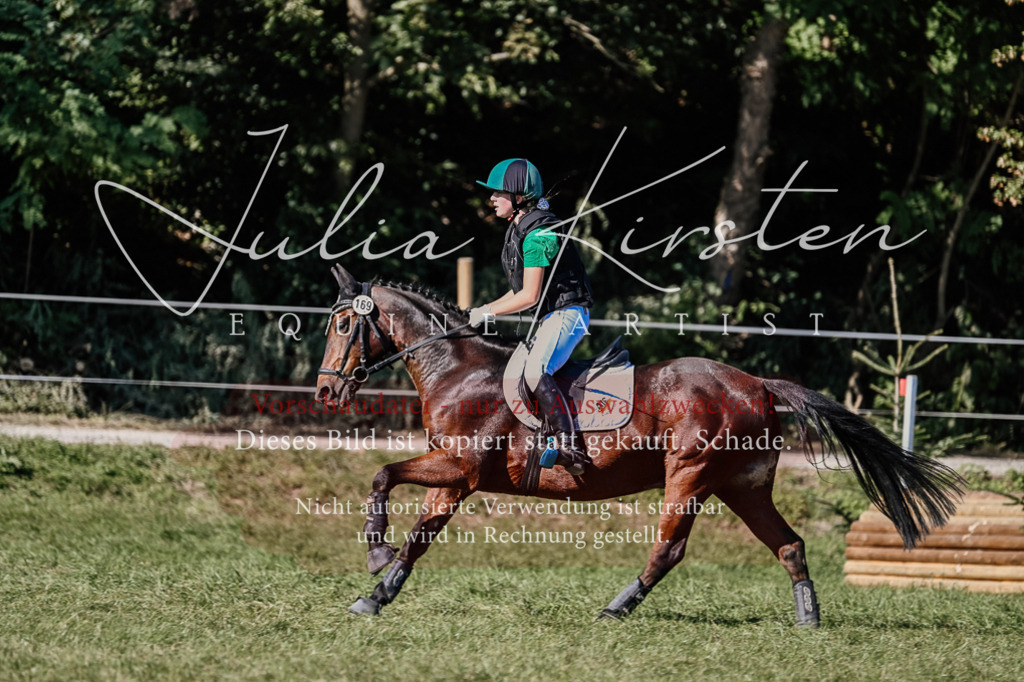 DSC_3623 | Pferde- und Turnierfotografie in Westsachsen. Pferdeportraits, Auftragszeichnungen und intuitive Kunst.