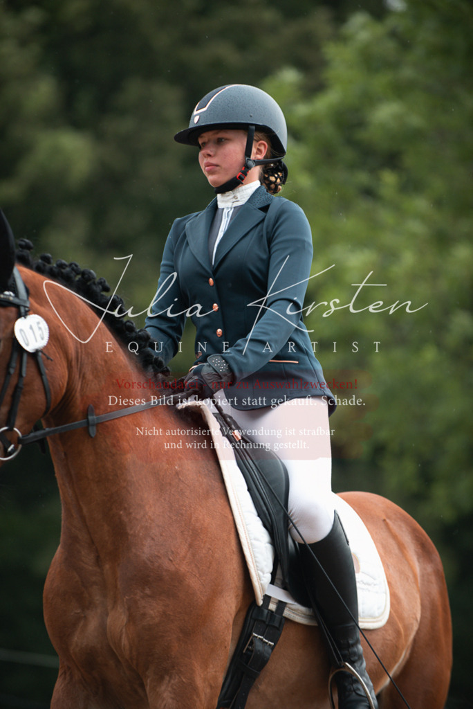 DSC_9837 | Pferde- und Turnierfotografie in Westsachsen. Pferdeportraits, Auftragszeichnungen und intuitive Kunst.