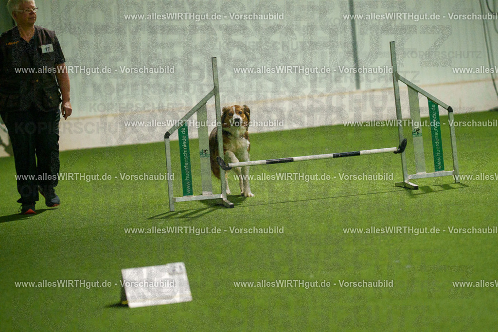 7R508819 | Professionelle Tierfotografie in Mönchengladbach von Daniel Wirth (allesWIRTHgut). Liebevolle & natürliche Bilder von Hunden & Katzen für unvergessliche Erinnerungen.