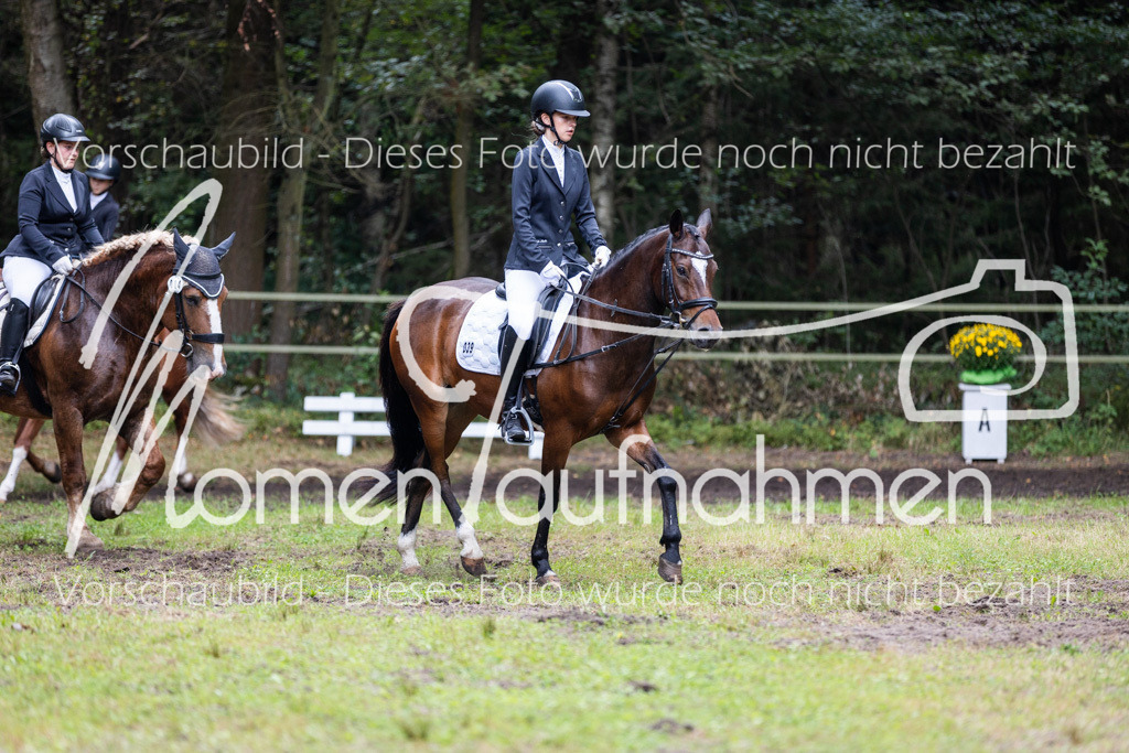 HB-Reiter-WB-074 | MomenTaufnahmen Pferdesportfotos