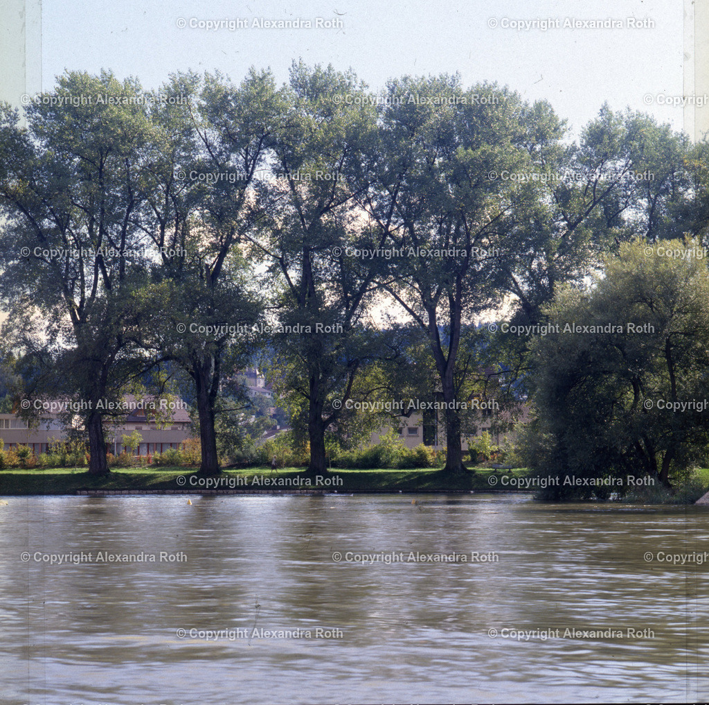 Aarau_0571 | onlineshop - Realisiert mit Pictrs.com