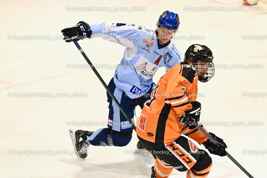  USC Velden vs. ESC Steindorf 16.2.2023 | hockey sports photos, Pressefotos, Sportfotos, hockey247, win 2day icehockeyleague, Handball Austria, Floorball Austria, ÖVV, Kärntner Eishockeyverband, KEHV, KFV, Kärntner Fussballverband, Österreichischer Volleyballverband, Alps Hockey League, ÖFB, 