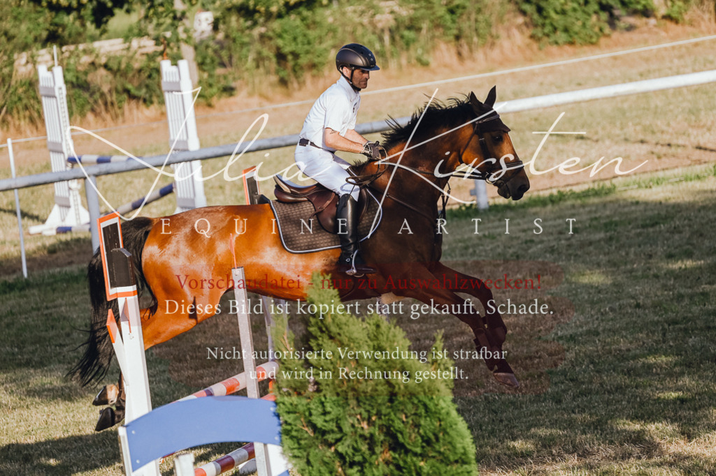 DSC_3272 | Pferde- und Turnierfotografie in Westsachsen. Pferdeportraits, Auftragszeichnungen und intuitive Kunst.