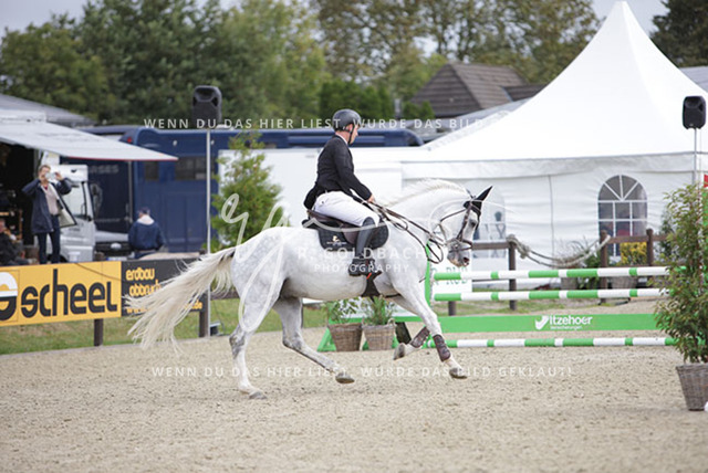 1J2A1722Klas-Kristoff Kudlinski_ Murphy me BE_ Kn758_ Havekost | Foto- und Videografie für alles rund ums Pferd. Hochwertige Bilder und Videos vom Spring- und Dressurreiten, Voltigieren & mehr. Jetzt aktuelle Veranstaltungen und Preise im Shop ansehen. - Realisiert mit Pictrs.com