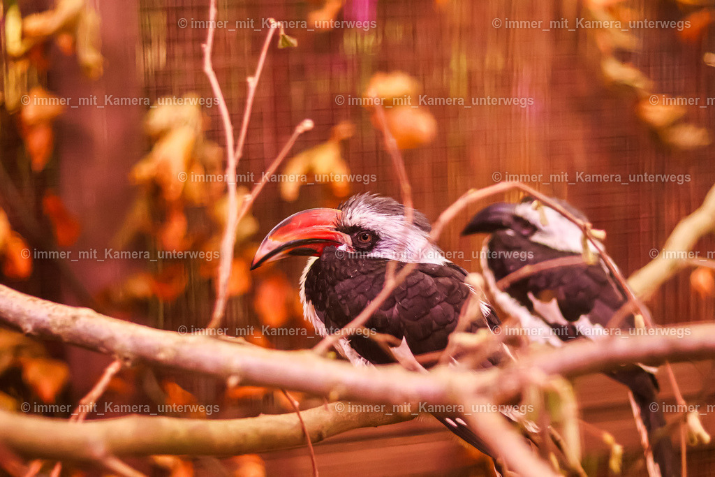 IMG_1147-2 | immer_mit_kamera_unterwegs