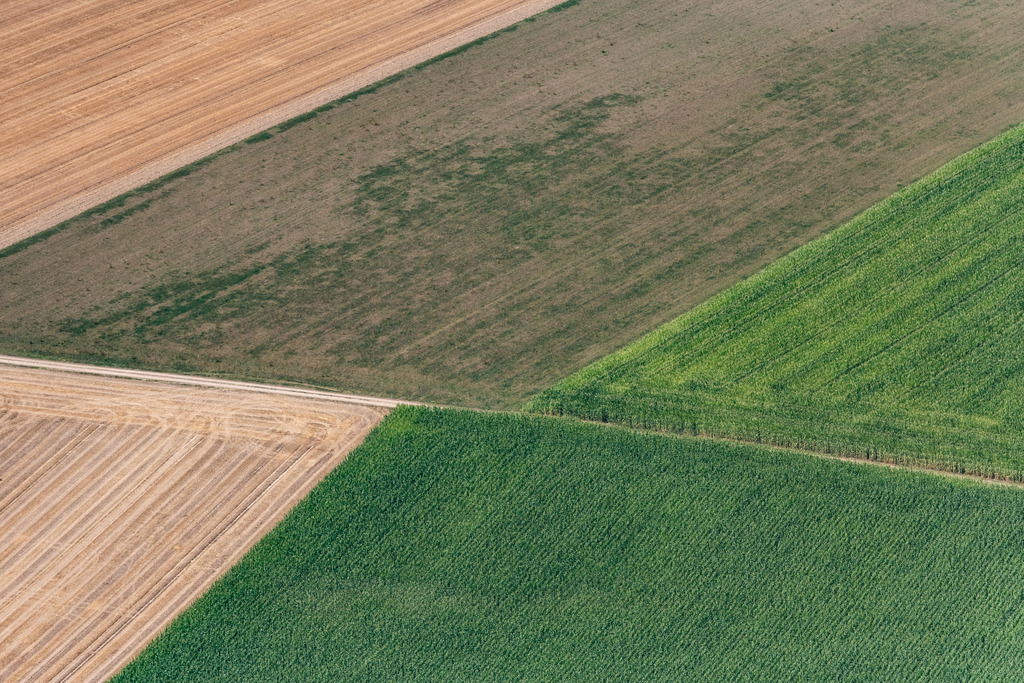 dr__0016397.jpg | DILLINGEN AN DER DONAU 03.08.2018 Strukturen auf landwirtschaftlichen Feldern in Zusamaltheim im Bundesland Bayern, Deutschland. // Structures on agricultural fields in Zusamaltheim in the state Bavaria, Germany. Foto: Daniel Reiter