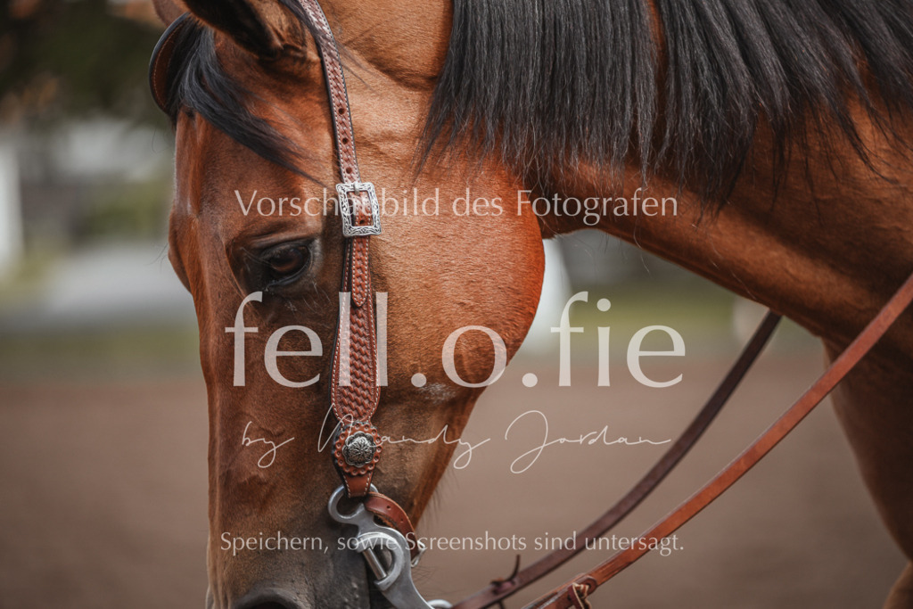 fell.o.fie_mandyjordan_2024_06_07061 | Mandy Klecke Fellfotografie, fell.o.fie Fotografenshop - Realisiert mit Pictrs.com