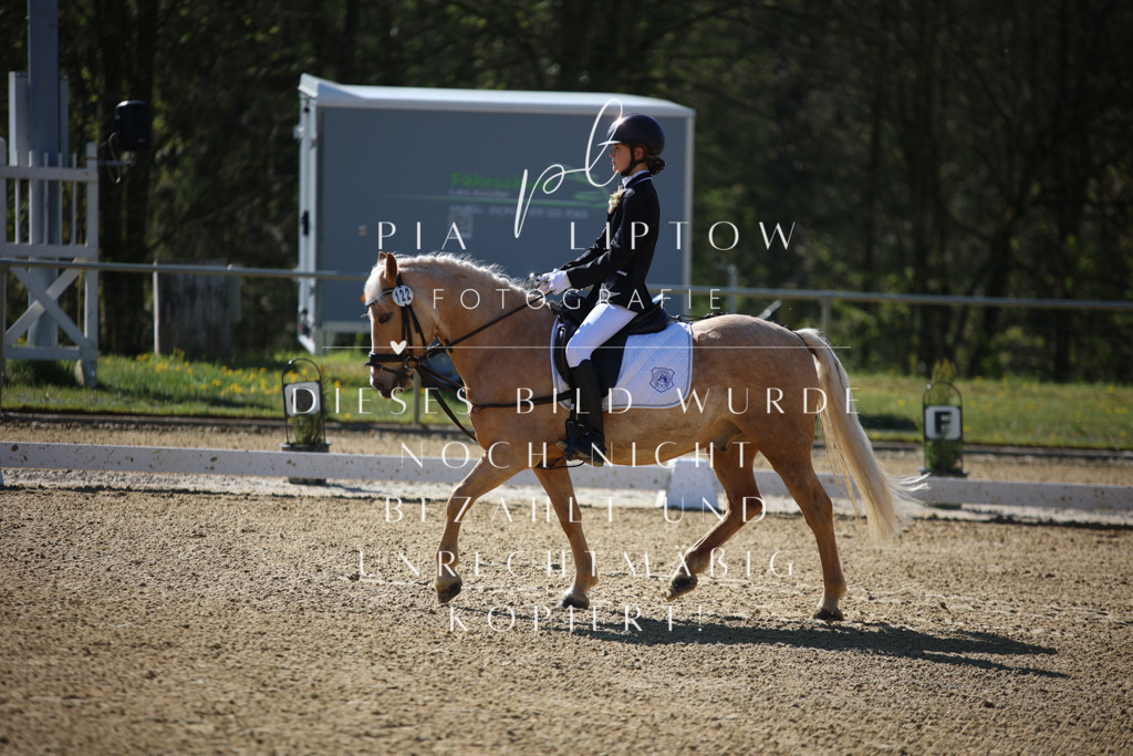 IMGT9717 | pl-fotografie