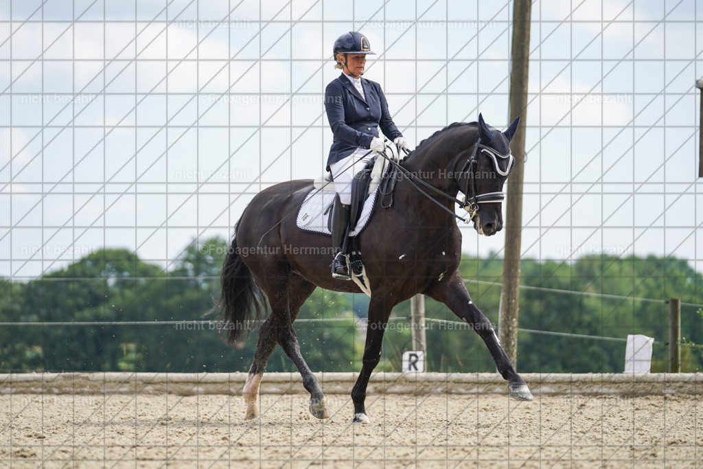 20230826-FAH05889 | Forstinning, 2023, Dressurturnier, Turniersportbilder, Turnierfotografen Bayern, Fotoagentur Herrmann, Reitsportfotografie, Turnierbilder