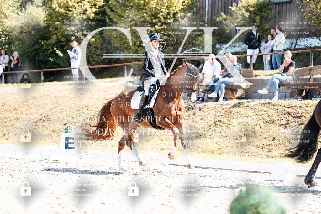 CK904092 | Turnierfotografie Pferdefotografie Trier Rheinland-Pfalz Pferdesport Reitsport Tierfotografie Sportfotografie Pferdevideo Pferdevideografie Equestrianvideography equestrianphotography  - Realisiert mit Pictrs.com