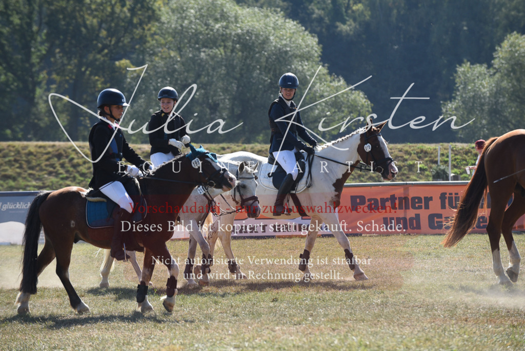 DSC_6134 | Pferde- und Turnierfotografie in Westsachsen. Pferdeportraits, Auftragszeichnungen und intuitive Kunst.