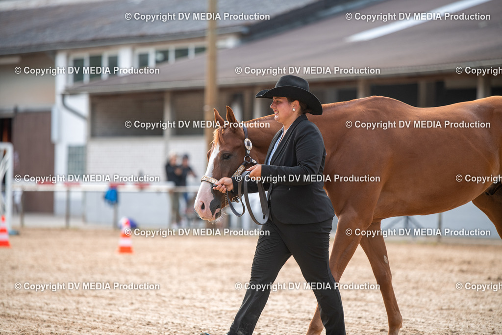 EWP_5552 | dv-media-shop - Realisiert mit Pictrs.com