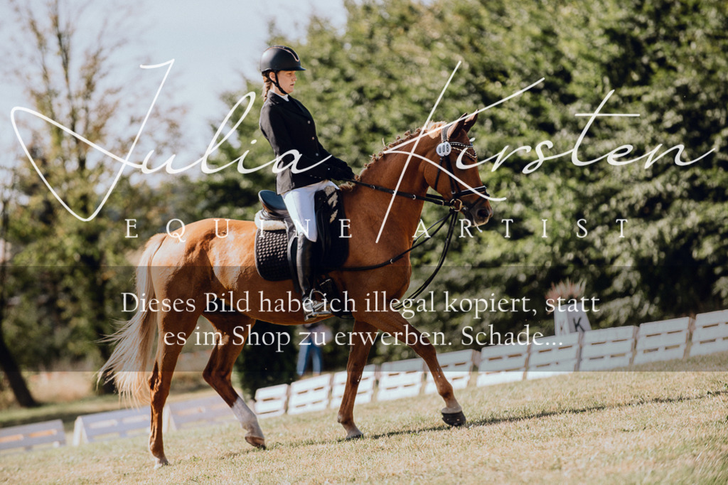 DSC_7190 | Pferde- und Turnierfotografie in Westsachsen. Pferdeportraits, Auftragszeichnungen und intuitive Kunst.