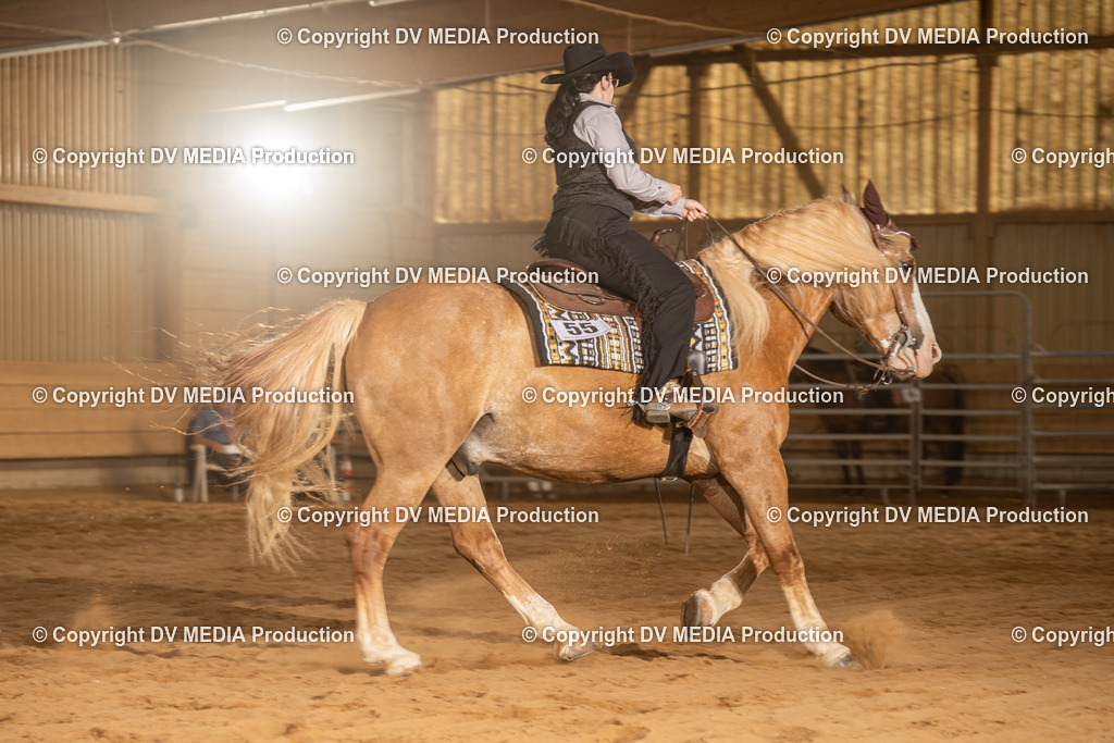 NID03732 | dv-media-shop - Realisiert mit Pictrs.com