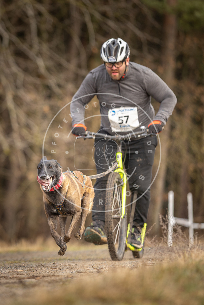 DV3A3484 | Hundefotografie, Tierfotograf, Pfotenfotografie, Fotoshooting Hund, Hunde Portrait, Hundesport, Hundeportraits, Heideshooting, Hunde, Sportfotograf, Hundefotograf, Turnierhundsport, THS,  - Realisiert mit Pictrs.com