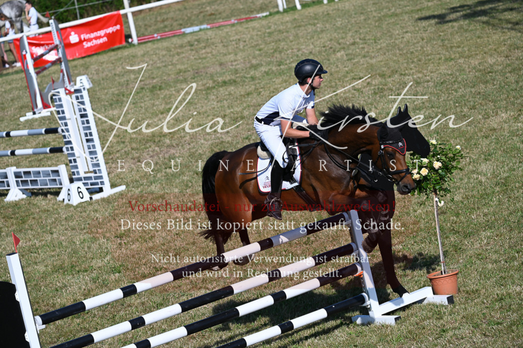 DSC_2519 | Pferde- und Turnierfotografie in Westsachsen. Pferdeportraits, Auftragszeichnungen und intuitive Kunst.